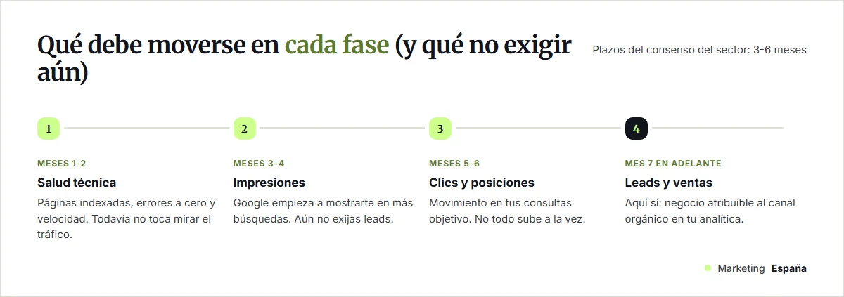 Línea temporal de cuatro hitos: salud técnica en los meses 1-2, impresiones en los meses 3-4, clics y posiciones en los meses 5-6, y leads a partir del mes 7