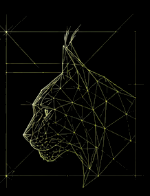 Perfil de lince en trazado geométrico sobre plano técnico